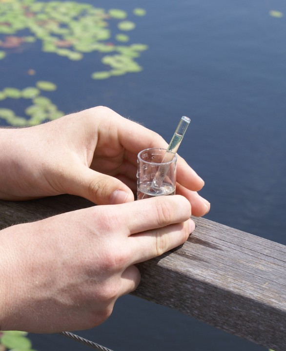 Hands with vial on a bridge above a wetland