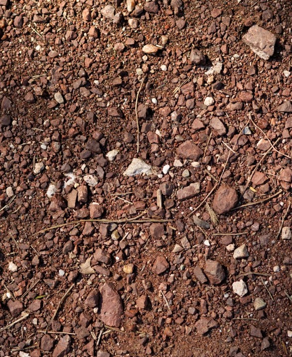 soil